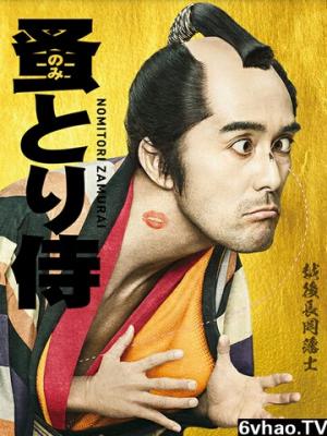 情满四合院